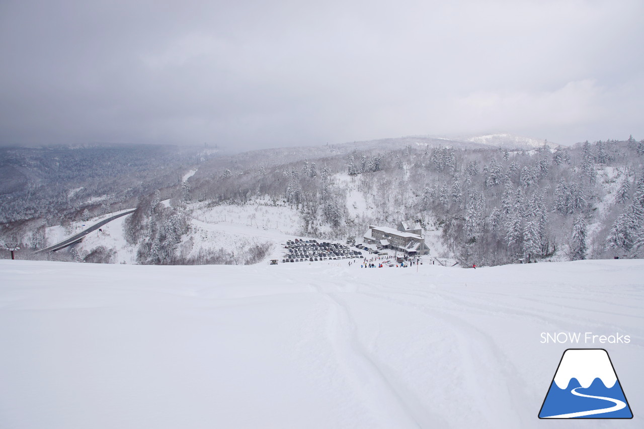 春スキーの聖地『中山峠スキー場』は、初滑りシーズンも凄かった…!!初滑りから粉雪たっぷりの2018年11月☆